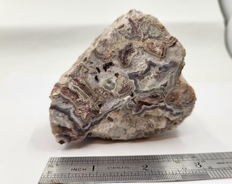 Ágata mexicana de encaje loco grande, piedra en bruto, espécimen de 8,5 cm - 0150