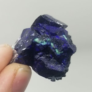 Milpillas Azurite Crystal Cluster and Malachite Matrix, Milpillas Mine, Mexico, 1.49 Inch Specimen - 0299