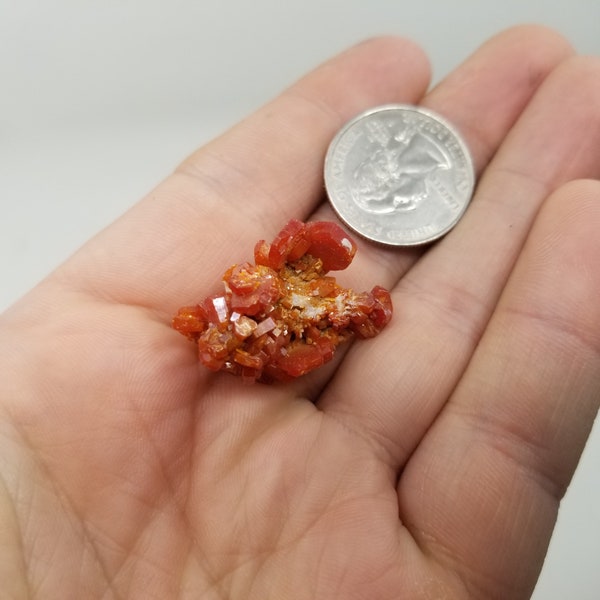 Beautiful Vanadinite Crystal Cluster - 0247