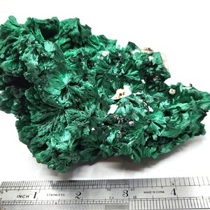 Large Fibrous Malachite Matrix, 5.4 Inch Specimen - 0015