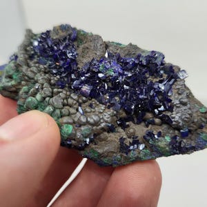 Amas de cristaux d&#39;azurite avec une petite quantité de matrice de malachite, spécimen de 3,0 pouces - 0438