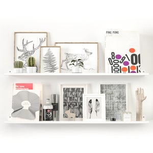 May include: Two white shelves displaying framed art, plants, and decorative objects. The top shelf features botanical prints and a graphic poster. The bottom shelf holds a book, a bottle, and a wooden hand sculpture. The overall aesthetic is minimalist and modern.