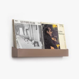 Vinyl Record Shelf / Metal Record Holder / Vinyl Record Storage / Vinyl Display Stand / LP Storage / Wall Mounted Record Holder / Music Gift