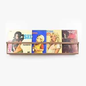 Porta-revistas para pendurar na parede / Estante para livros / Decoração de parede / Porta-jornais / Armazenamento de escritório / Suporte de vinil