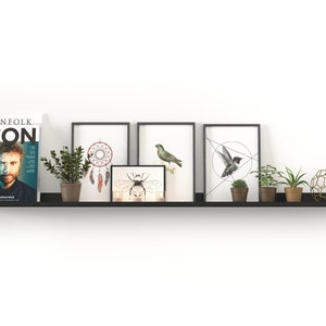Metal Floating Shelves / Black Floating Shelf / Minimal Shelves / Metal Painted Shelves / Wall Mounted Shelves / Deep Picture Ledge image 7
