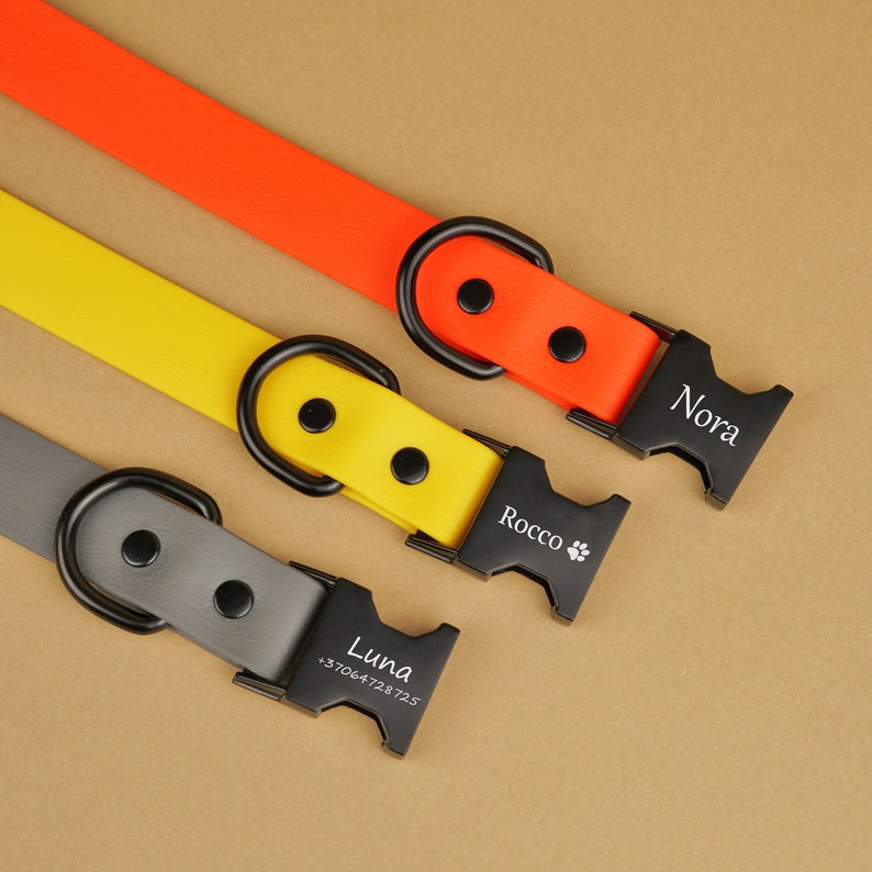 May include: Three dog collars in orange, yellow, and gray with black metal hardware. Each collar has a personalized name tag with the names "Nora", "Rocco", and "Luna" with a phone number.