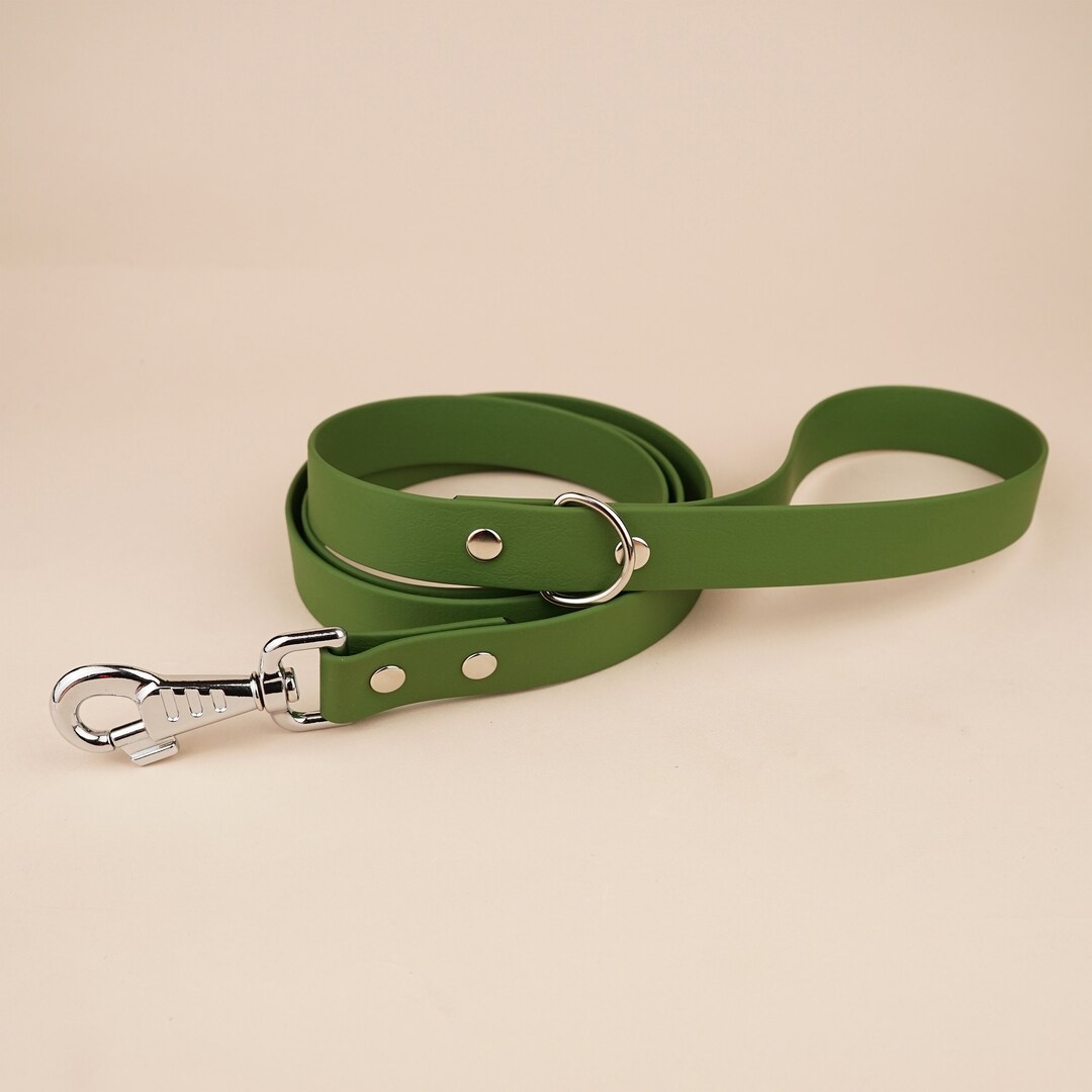 Biothane Waterproof Dog Leash, Long Dog Leash 1,5 Meters, Pet Leash for