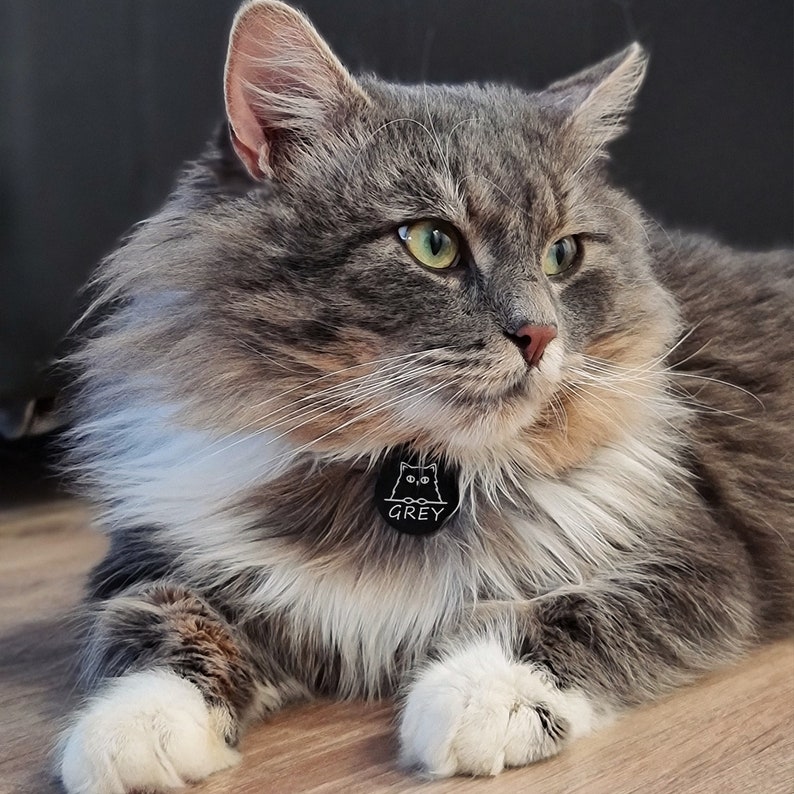 Op de afbeelding: Een pluche grijs-witte kat met groene ogen die een zwart kattenvormig label draagt met de tekst "GREY".