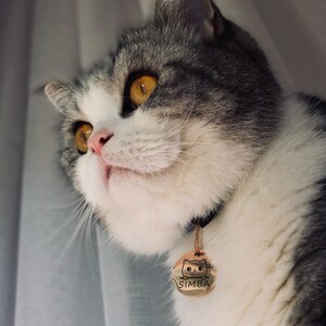 Op de afbeelding: Een grijs-witte kat met gele ogen die een zwarte halsband draagt met een gouden tag waarop "SIMBA" staat en een cartoonkatje.