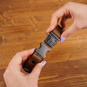 May include: A brown leather dog collar with a black plastic buckle. The buckle is open and the collar is being held by two hands.