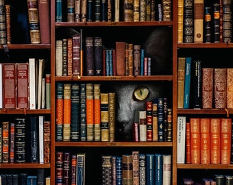 Bibliothek Katze Kunstdruck, Katzenbücher, Graue Katze, Bücherregal, Kitty Kunst, Buch Geschenk, Literarisches Geschenk, Katzenliebhaber, Bibliothek Dekor, Katzenmama, Bibliophile