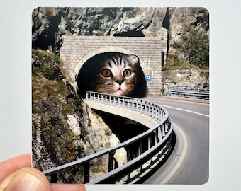 Tunnel Cat Sticker | Weatherproof Sticker | Cat Laptop Decal | iPad Cat Sticker | Tabby Cat Sticker | Cute Animal Sticker | Square Sticker