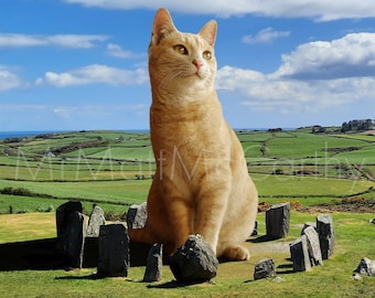 May include: A large ginger cat sits in the centre of a stone circle, with a green field and blue sky in the background.