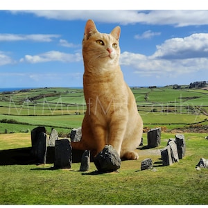 IRELAND CAT PRINT, Yellow Cat, Giclée Print, Mystical Art Print, Ireland Landscape, Irish Cat, Irish Gift, Ireland Gifts, Irish Decor,