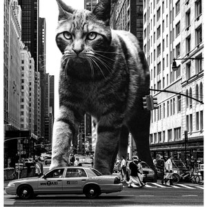 NYC Black and White Cat Print | New York City Poster | Unique Cat Gift | Cat Lovers | Cat Mom Gift | NYC Taxi | NYC Wall Art | Cat Decor