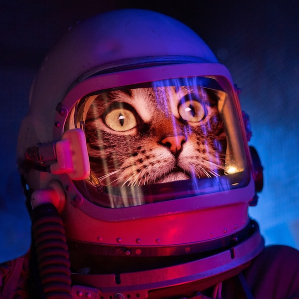 Major Tomcat Druck, Astronaut Katzen Kunst, Astronaut Dekor, Katzen Wandkunst, Katzendame Geschenk, Rosa Ästhetik, Rosa Dekor, Retro Futurismus, Weltraum Katze