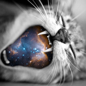 SPACE CAT PRINT, Outer Space Art, Space Cat Gift, Square Print, Retro Futurism, Surrealism, Space Decor, Cat Wall Art, Gift for Cat Lover