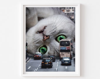 Hong Kong Street Cat, Travis Jam Print, Gray Cat, Green Eyes, Hong Kong Photo, Cat Lover Gift, Retro, Giant Cat, Cat Person, Cute Kitty