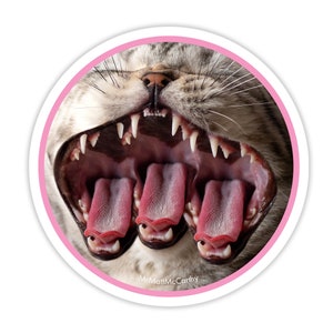 Trippy Cat Sticker, Weatherproof Vinyl Sticker, Psychedelic Sticker, Laptop Decal, Locker Sticker, Waterproof Water Bottle Sticker, Cat Gift