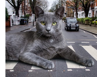 Abbey Road Cat Art Print, The Beatles Wall Art, Cat Lover Gift, Gray Cat Art, 60s 70s Music, Beatles Fan Gift, Russian Blue Cat, Cat Decor