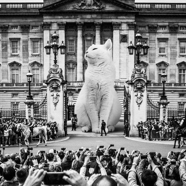 Buckingham Palace White Cat Print | Queen Elizabeth | London Art | Platinum Jubilee | Cat Wall Decor | Housewarming Gift | Anglophile Gift