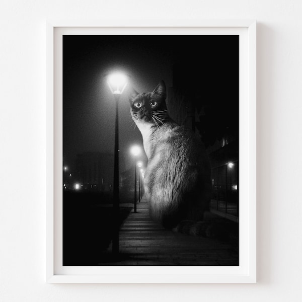 Black and White Cat Art Print, Siamese Cat, Film Noir, Mysterious Cat, Monochrome Art, Cat Person Gift, Art Deco Print, Vintage Retro Art