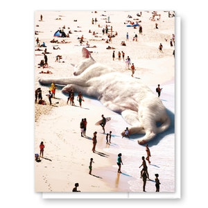 Carte de chat de plage enneigée, Carte de chat vierge, Jeu de cartes de chat, Cartes de voeux, Cartes vierges, Vie à la plage, Carte de remerciement, Cartes fantaisistes, Carte d'anniversaire