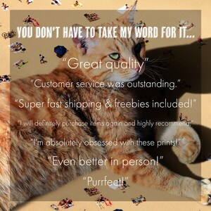 May include: A humorous image of a large orange tabby cat lying on a beach with tiny people on the sand. The cat is wearing a speech bubble with customer reviews about the quality of the product. The reviews include "Great quality", "Customer service was outstanding", "Super fast shipping & freebies included!", "I will definitely purchase items again and highly recommend", "I'm absolutely obsessed with these prints!", "Even better in person!", and "Purrfect!"