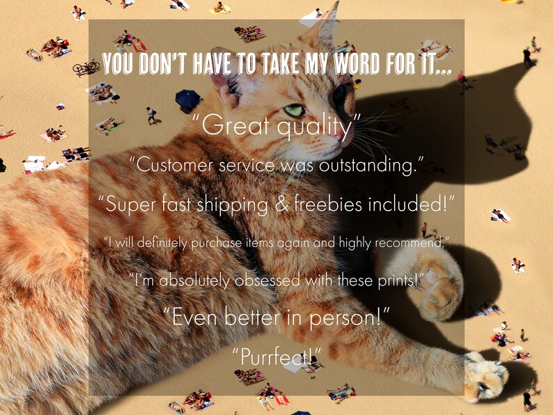 May include: A humorous image of a large orange tabby cat lying on a beach with tiny people on the sand. The cat is wearing a speech bubble with customer reviews about the quality of the product. The reviews include "Great quality", "Customer service was outstanding", "Super fast shipping & freebies included!", "I will definitely purchase items again and highly recommend", "I'm absolutely obsessed with these prints!", "Even better in person!", and "Purrfect!"
