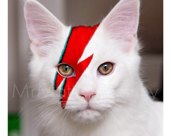David Bowie Inspired Cat Art Print, Ziggy Stardust Poster, White