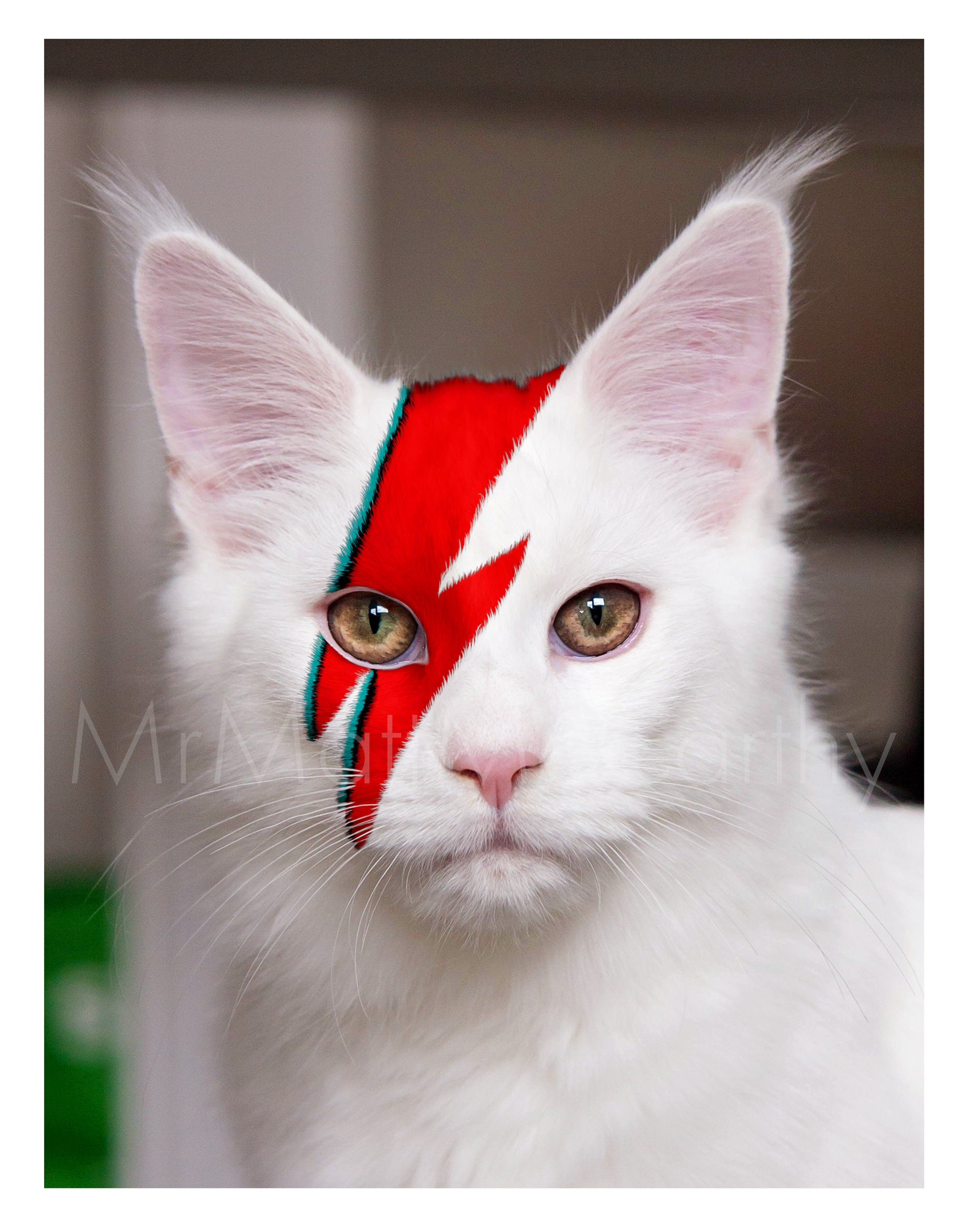 David Bowie Inspired Cat Art Print, Ziggy Stardust Poster