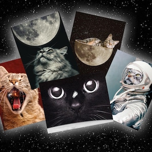Space Cats Postkarten 10er Set | Katzen Postkarten Kunst | Katze Briefpapier | Weltall Postkarten |  Katzen-Liebhaber-Geschenk-Ideen | Katze Person vorhanden