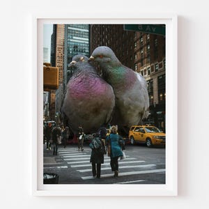 The Love Birds - New York City Tauben Kunstdruck, Geschenk für Vogelbeobachter und Vogelliebhaber
