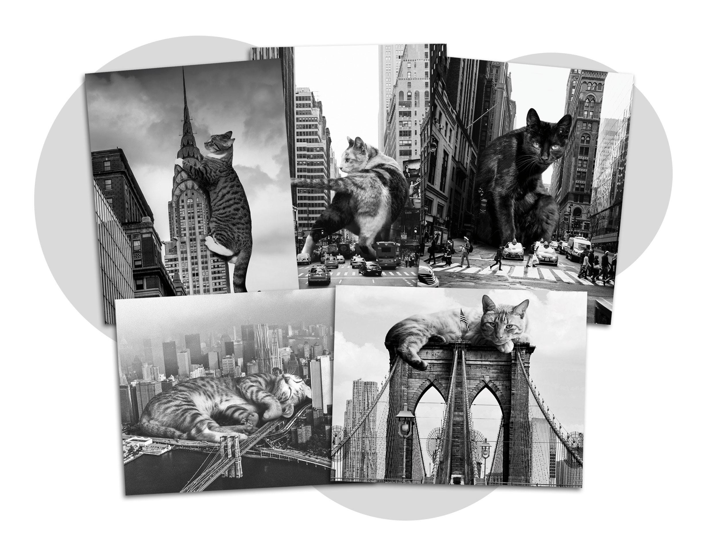 New York City Cat Postcard Set of 10 Black & White Postcards - Surreal Cat Lover Art, Postcards to Voters, Snail Mail, Pen Pal, Postcrossing