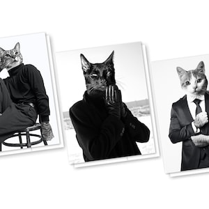 Handsome Cats 3 Card Set, Blank All Occasion Cards with Envelopes, Cat Lover Card, Black White Cat, Anytime Cat Note Card, Cat Stationery