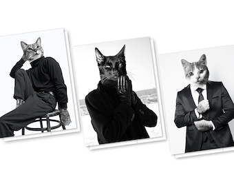 Handsome Cats 3 Card Set, Blank All Occasion Cards with Envelopes, Cat Lover Card, Black White Cat, Anytime Cat Note Card, Cat Stationery