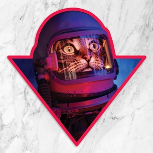 Adesivo de gato espacial, adesivo à prova de intempéries, adesivo de vinil, adesivo rosa, adesivo de astronauta, Major Tom, adesivo de gato malhado, laptop de gato, presente de gato