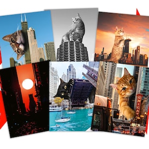 K&ouml;nnte beinhalten: Eine Sammlung von sechs rechteckigen Drucken mit Katzen, die &uuml;ber Stadtlandschaften von Chicago gelegt sind. Die Bilder zeigen eine Katze vor dem Willis Tower, auf Marina City, bei Sonnenuntergang, als Silhouette, an einer Br&uuml;cke und bei einem Chicago-Schild.