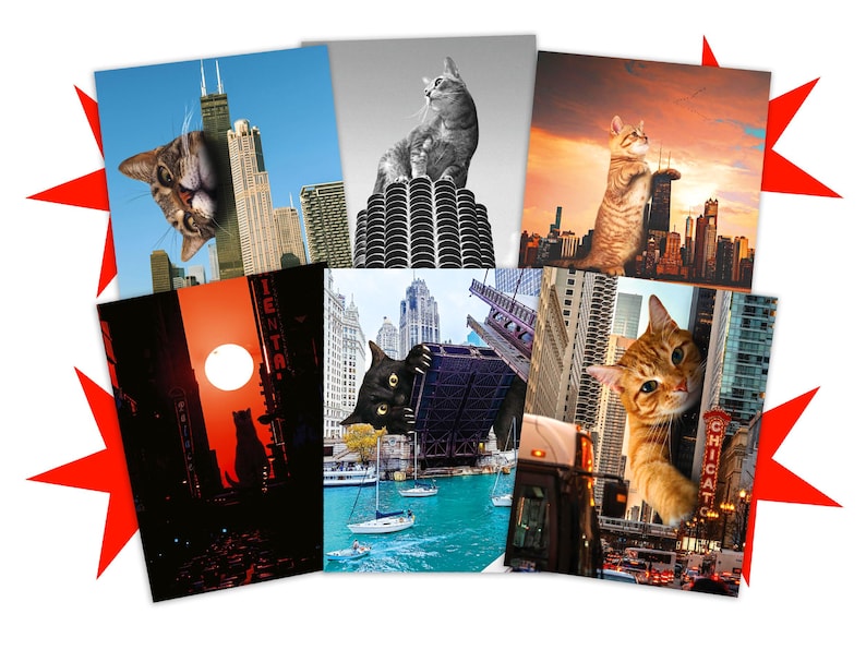 K&ouml;nnte beinhalten: Eine Sammlung von sechs rechteckigen Drucken mit Katzen, die &uuml;ber Stadtlandschaften von Chicago gelegt sind. Die Bilder zeigen eine Katze vor dem Willis Tower, auf Marina City, bei Sonnenuntergang, als Silhouette, an einer Br&uuml;cke und bei einem Chicago-Schild.