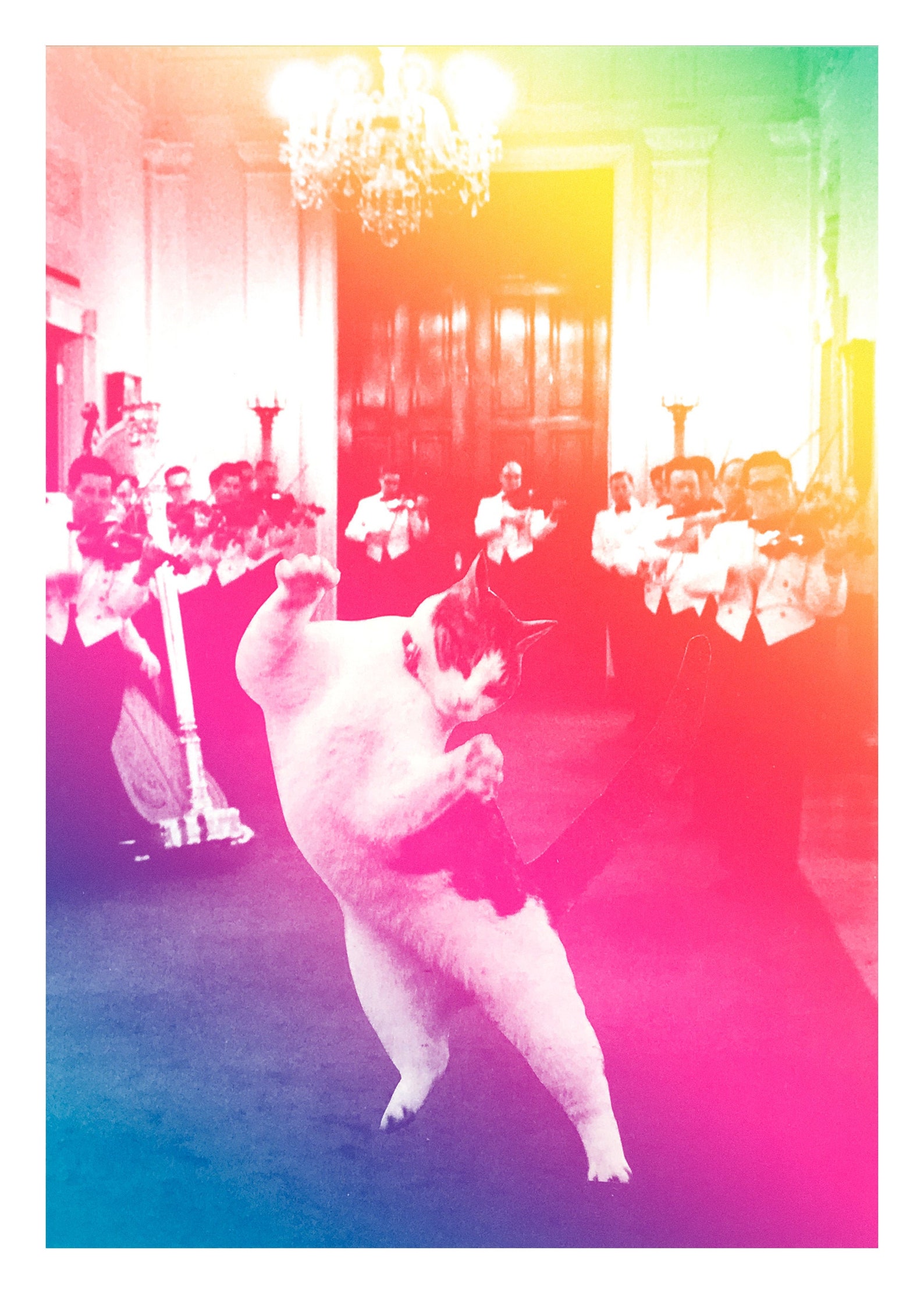 Dancing Cat Art Print Rainbow Art Party Animal Cat Lover Etsy