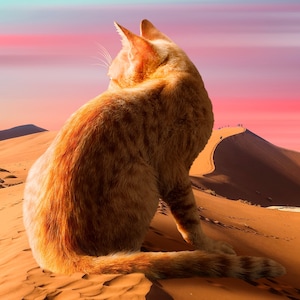 Sonnenuntergang Katze Print, Ästhetischer Druck, Orange Katze Kunst, Surreale Kunst, Pastell Dekor, Katzenliebhaber Geschenk, Katzen Dekor, StrandHaus Kunst, Katze Person Geschenk