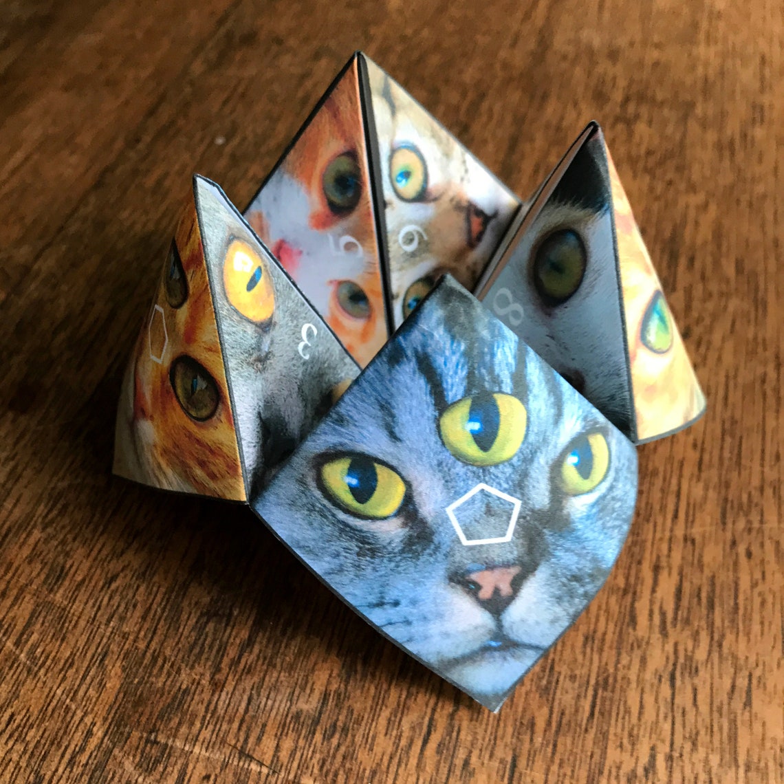 Printable Cat Fortune Teller Origami, Cat Cootie Catcher, Digital ...