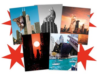 Lot de 10 cartes postales Chicago Cat - Art surréaliste pour les amoureux des chats, cartes postales aux électeurs, courrier postal, correspondant, Postcrossing