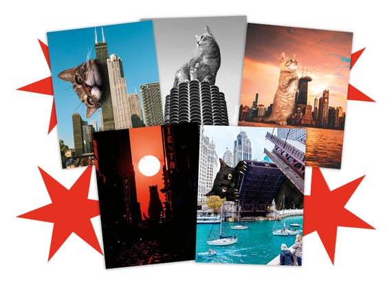 Chicago Cat Postcard Set of 10 Postcards - Surreal Cat Lover Art, Postcards to Voters, Snail Mail, Pen Pal, Postcrossing