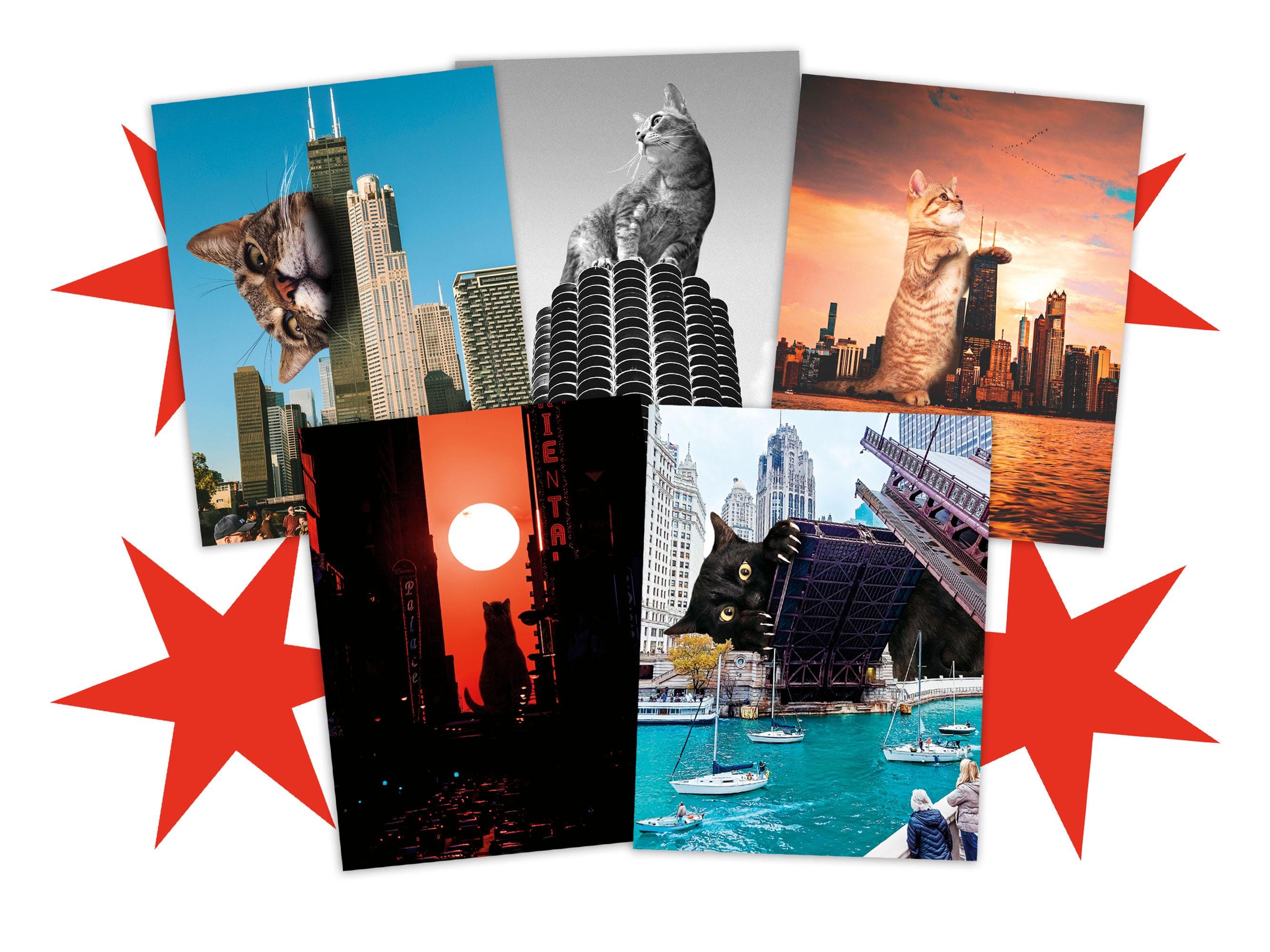 Lot de 10 cartes postales Chicago Cat - Art surréaliste pour les amoureux des chats, cartes postales aux électeurs, courrier postal, correspondant, Postcrossing