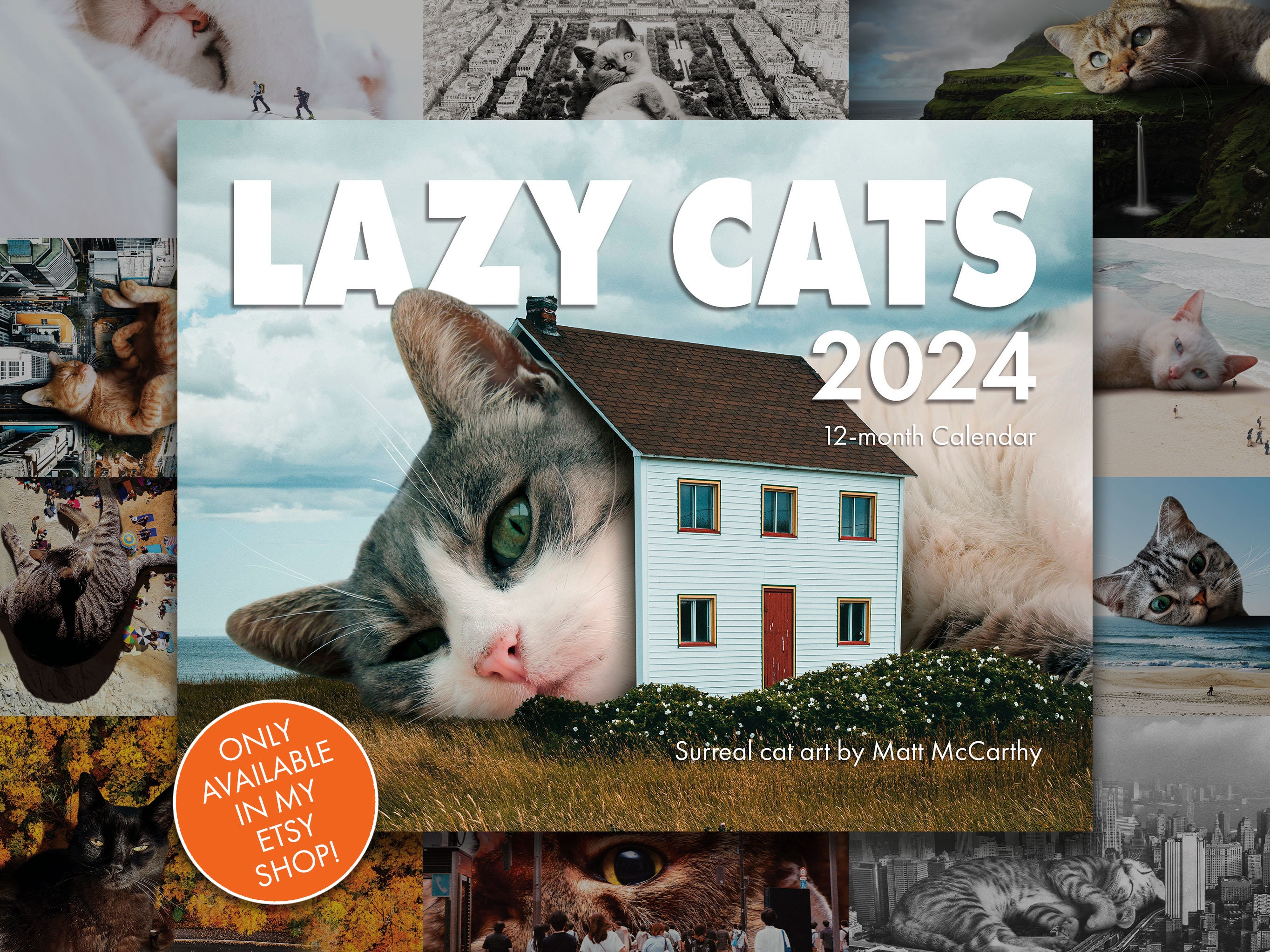 Calendrier de Trou de Chat 2024, Calendrier de Boules de Chat 25 X