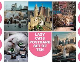 2024 Calendar Lazy Kitty Calendar 2024, Lazy Kitty Wall Calendar, Fun Kitty  Gift January 2024 From December 11x8.5 Inch