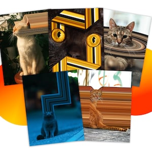 May include: A collage of cat portraits. One image shows a white cat with its eyes closed, another features a black cat's eyes, and a third shows a tabby cat. Other images include a gray cat and an orange cat.
