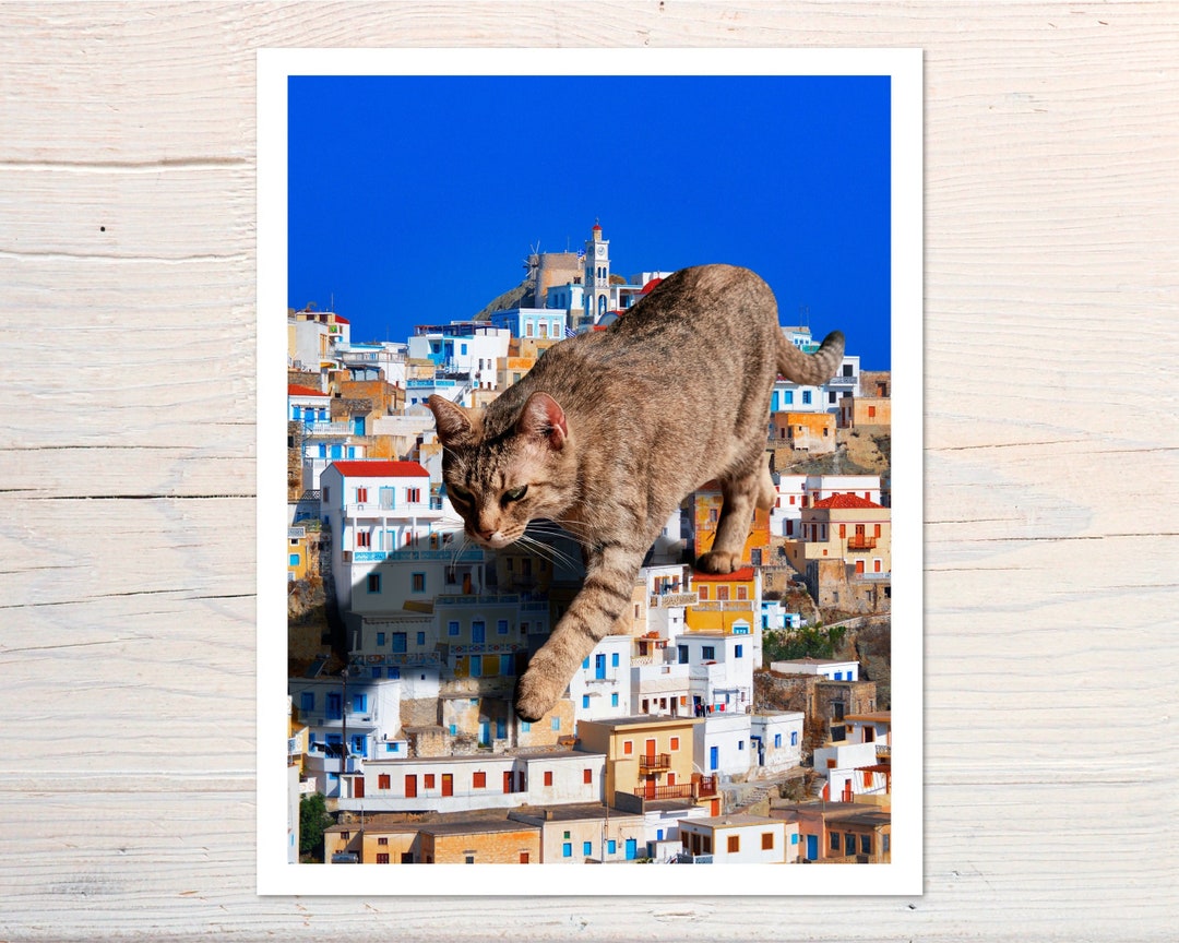 Santorini Greece Wall Art, Greek Cat Print, Greece Artwork, Fine Art