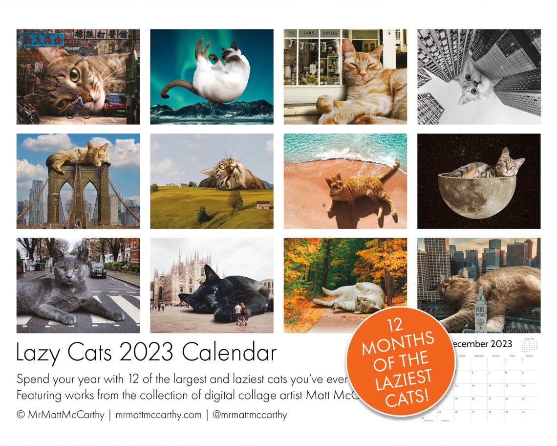 CALENDRIER DE CHAT PARESSEUX 2023 Calendrier mural de chat - Etsy Canada